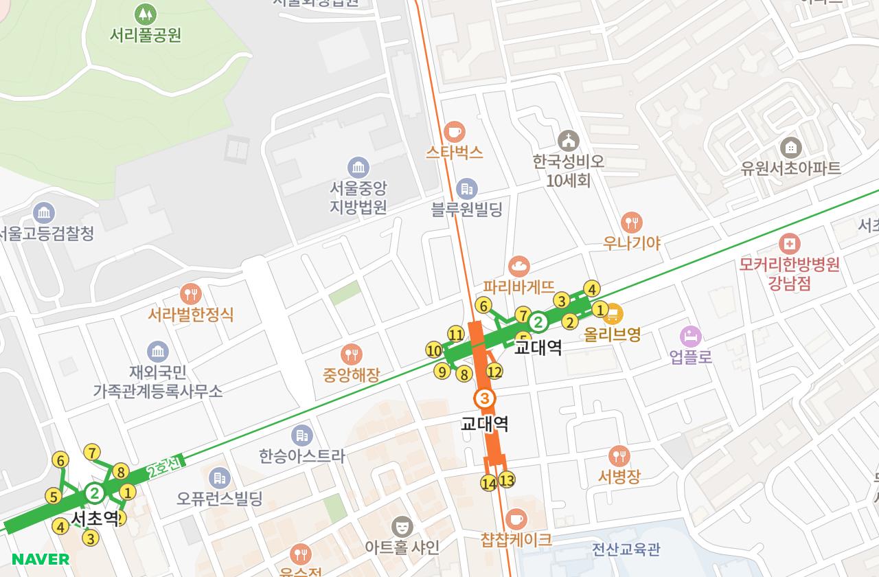 위치 지도