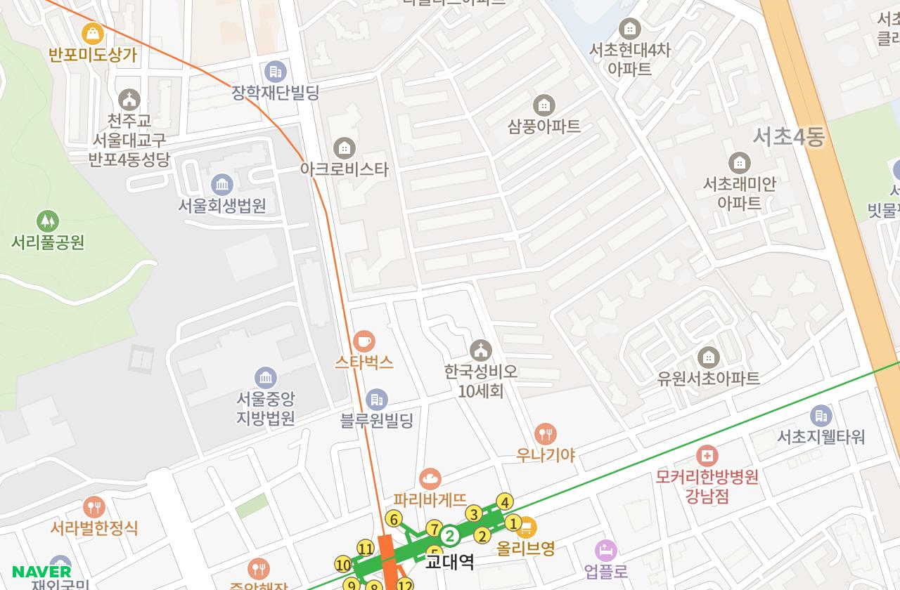 위치 지도