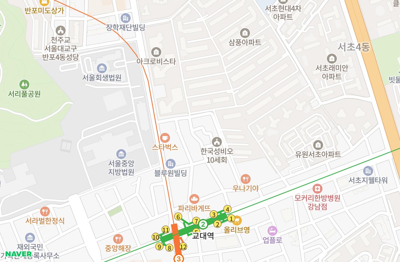 위치 지도