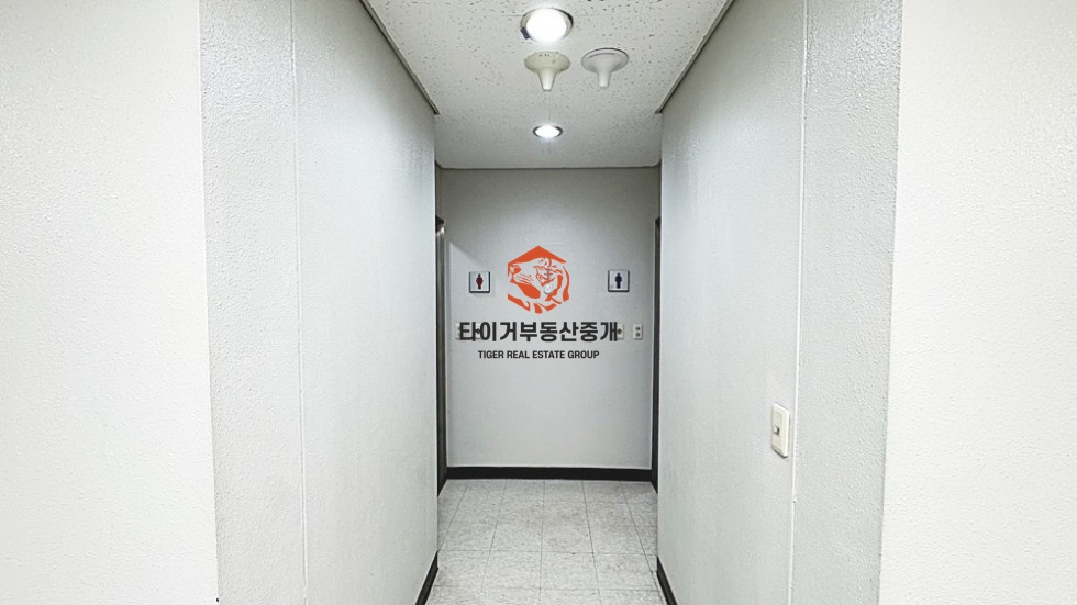 사진 8
