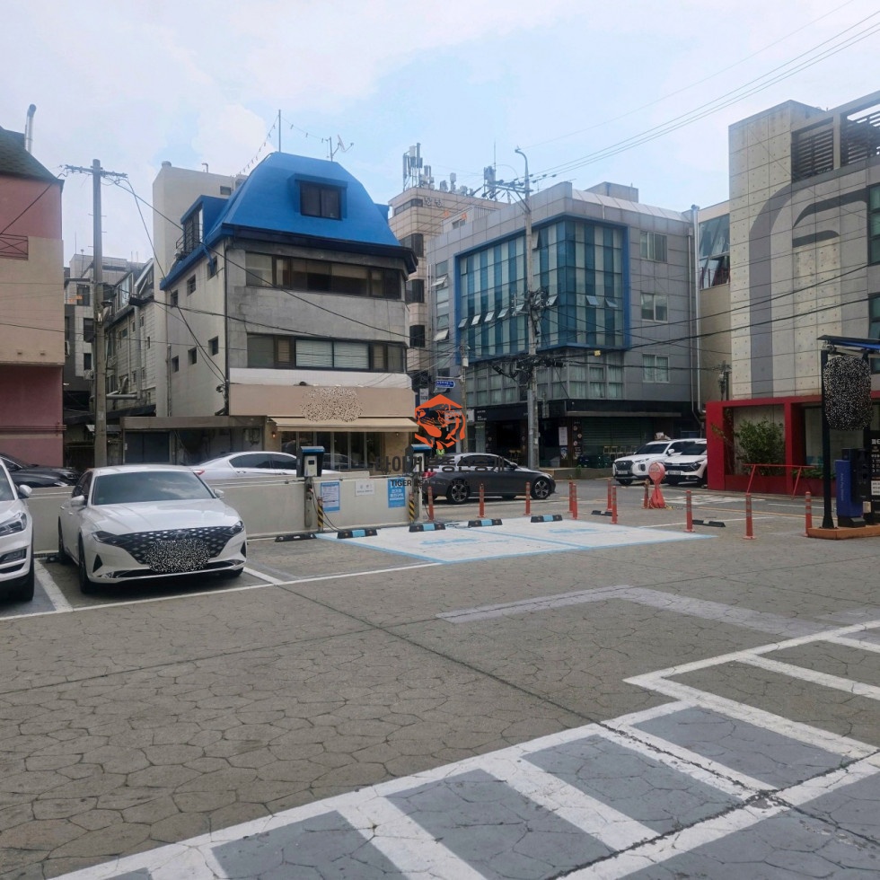 사진 9