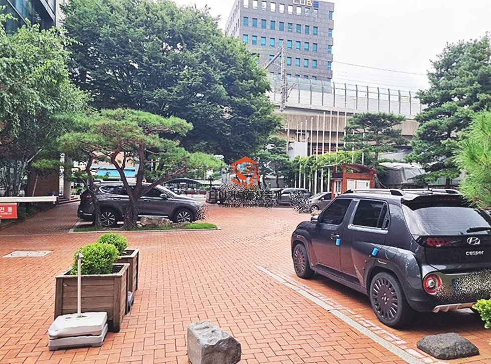 사진 3