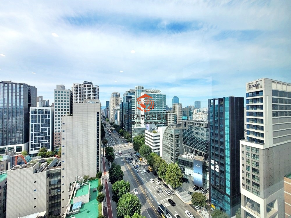 사진 12