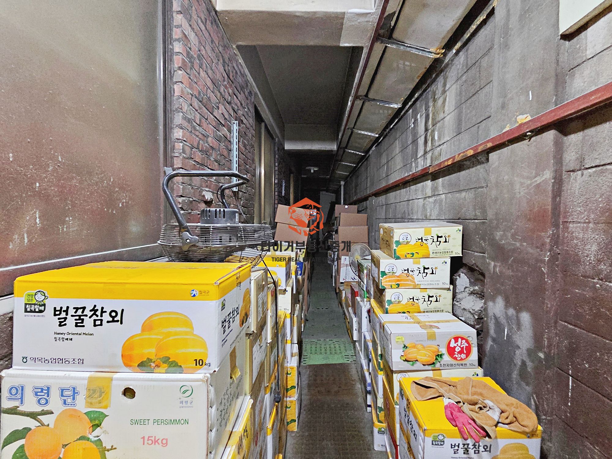 사진 9
