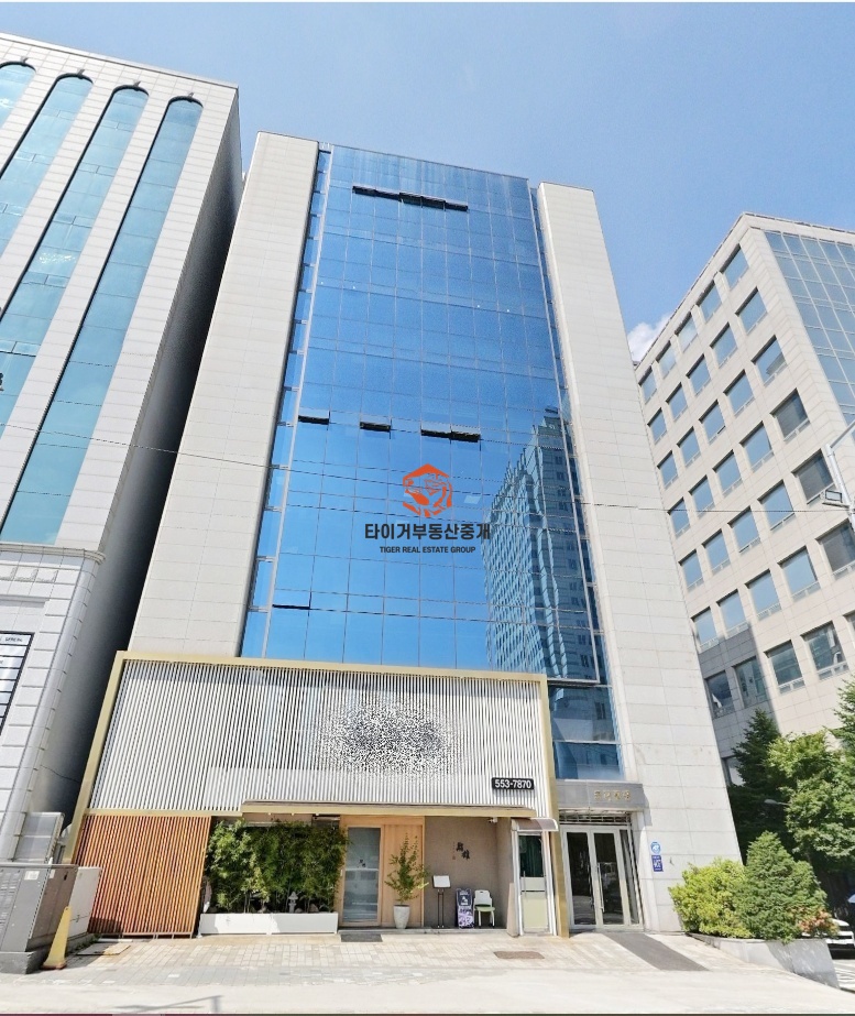 사진 13