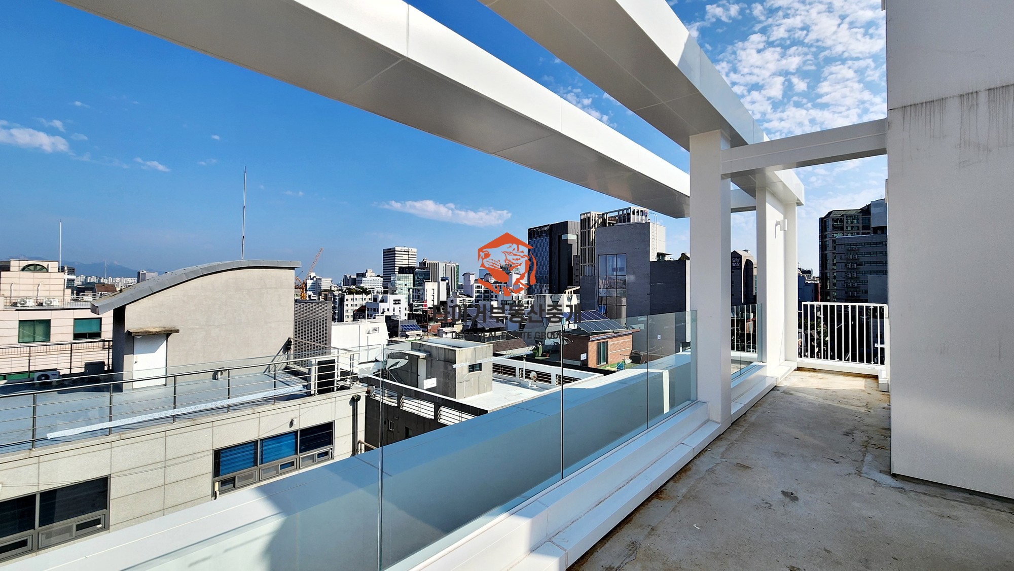 사진 12