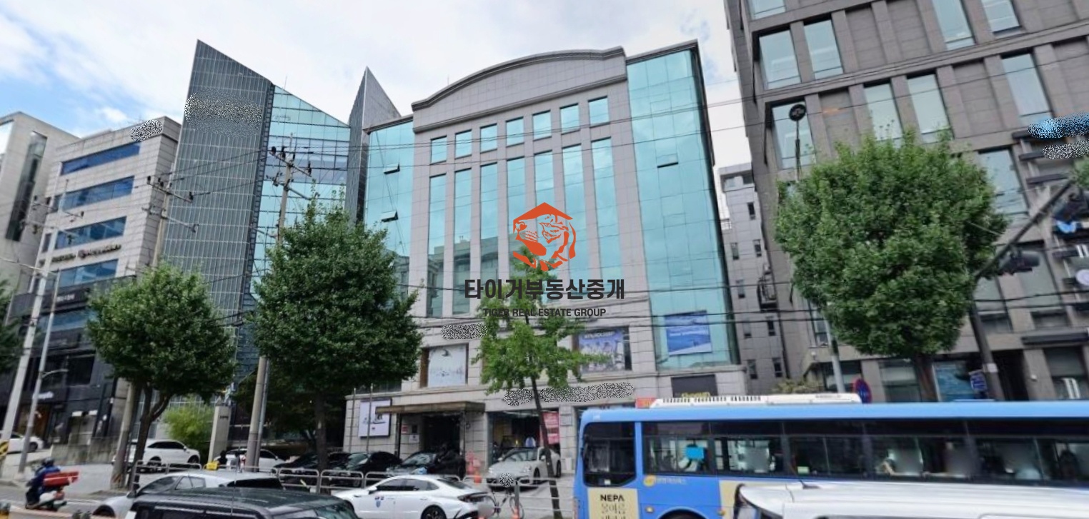 사진 11