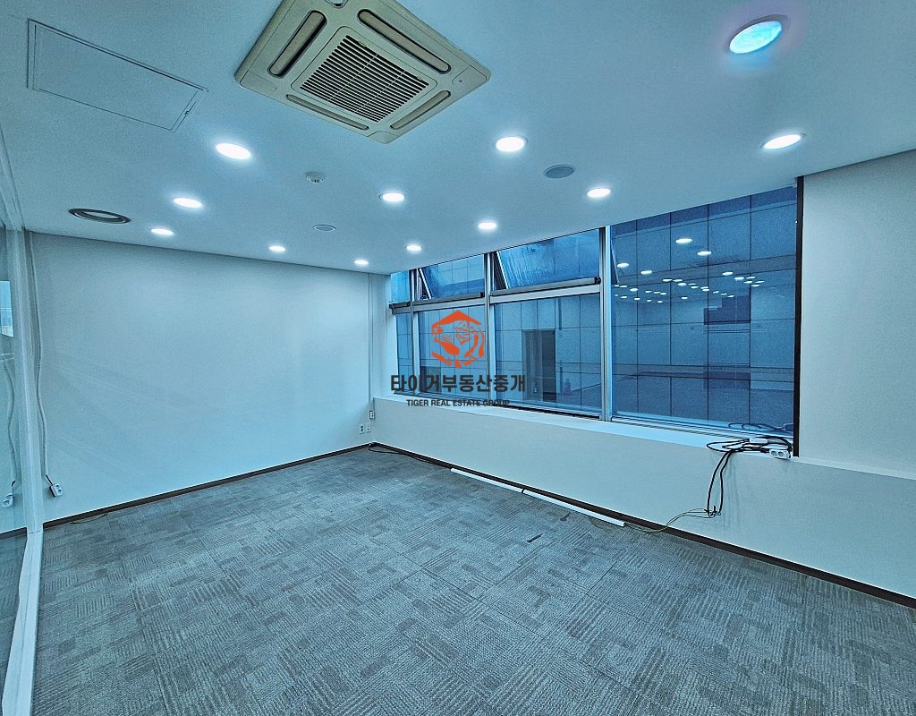 사진 5