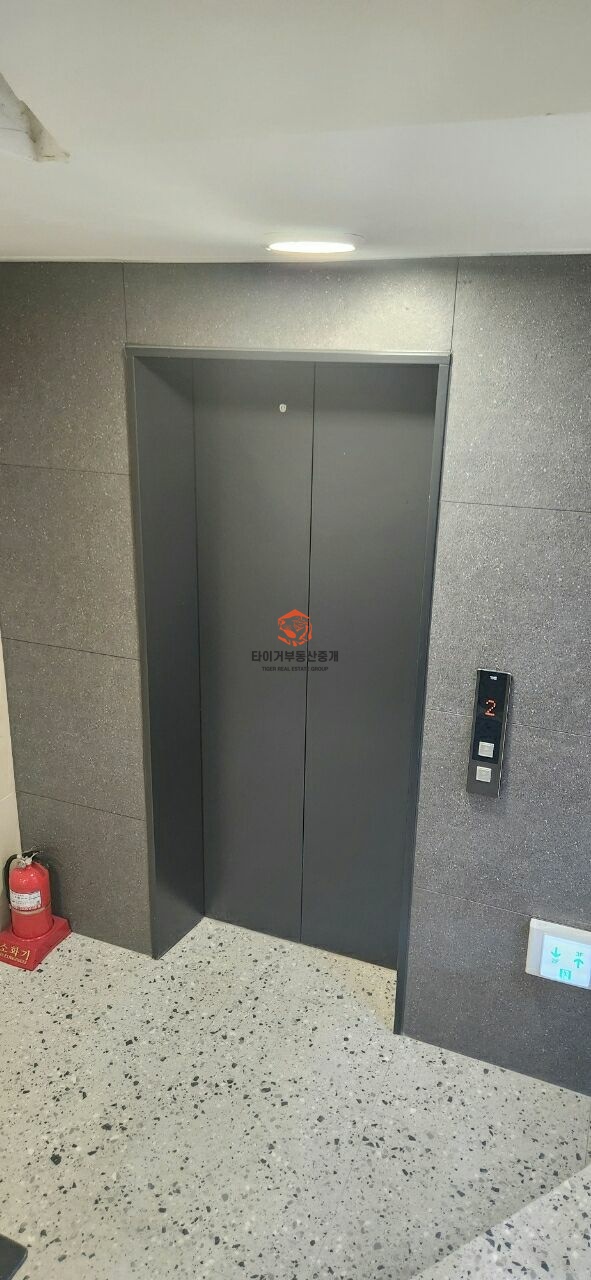 사진 5
