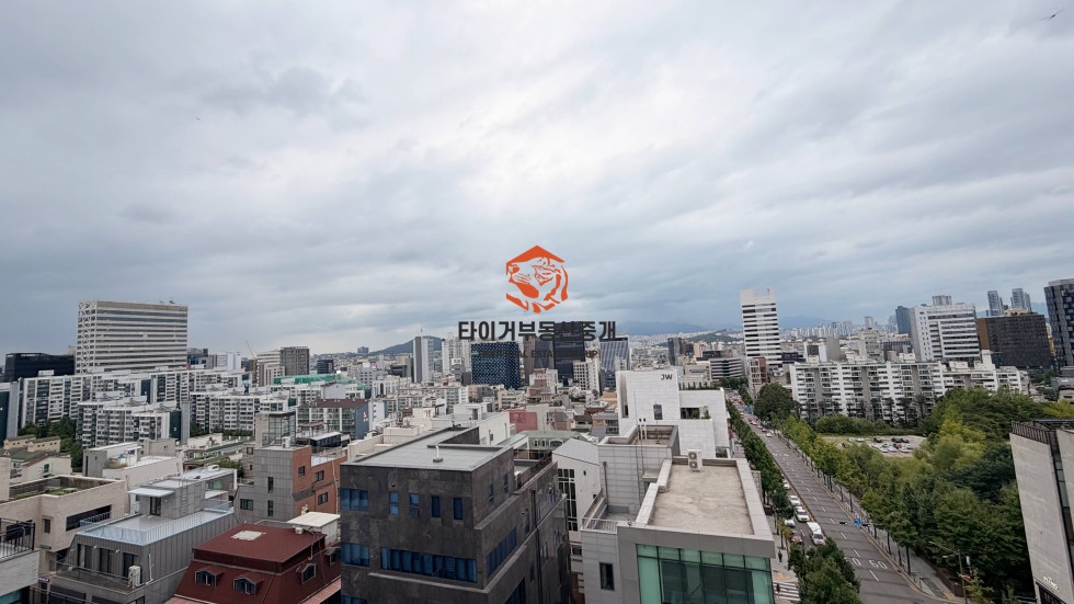 사진 2