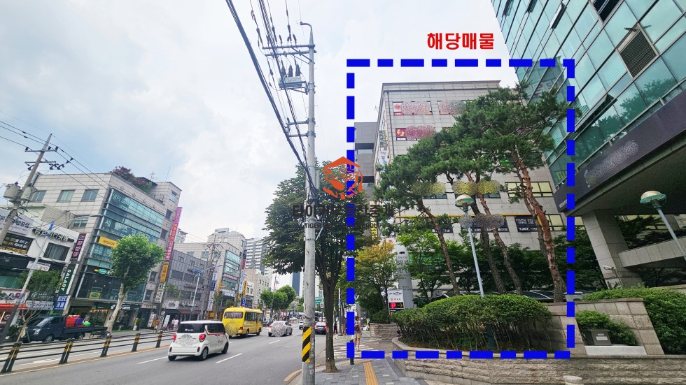 사진 12