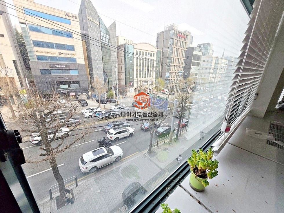 사진 6
