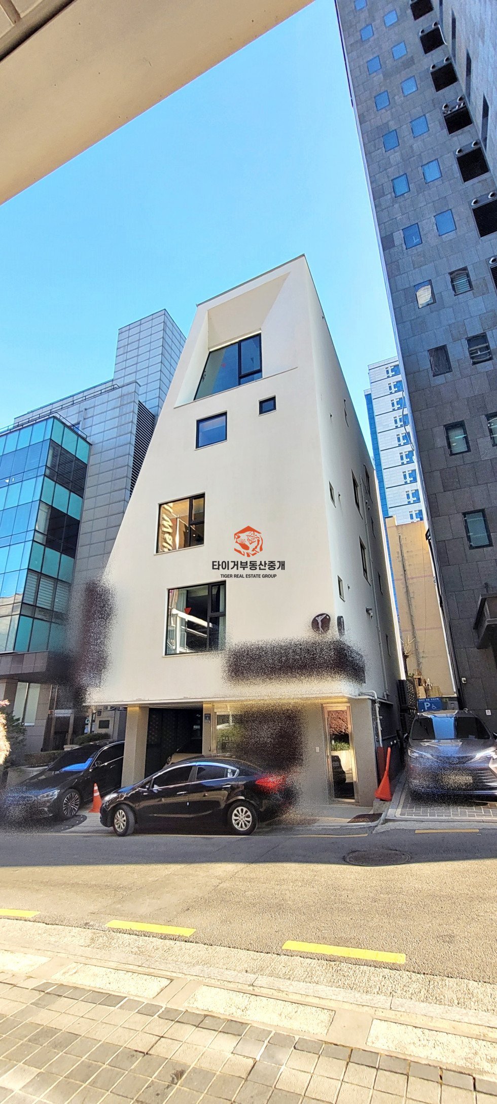 사진 5