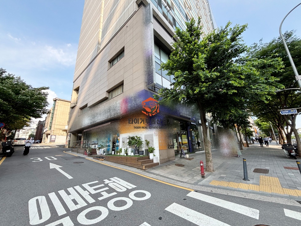 사진 14