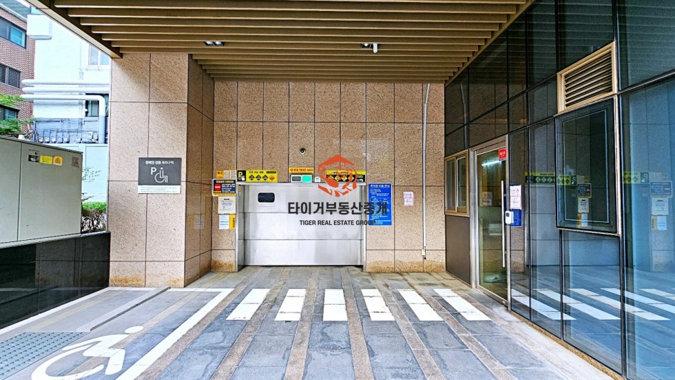 사진 5