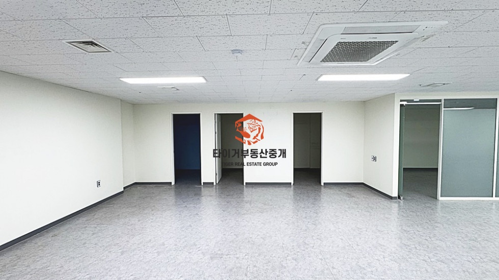 사진 5