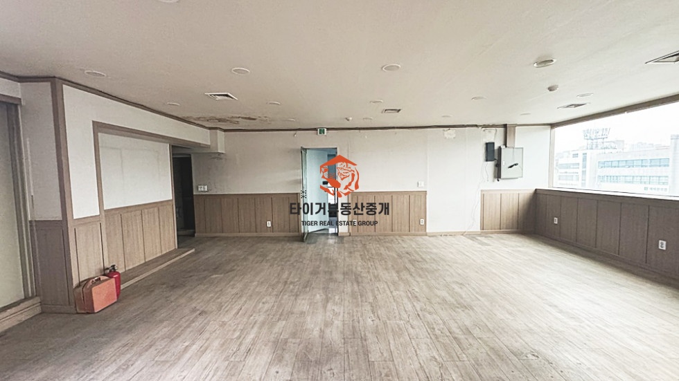 사진 5