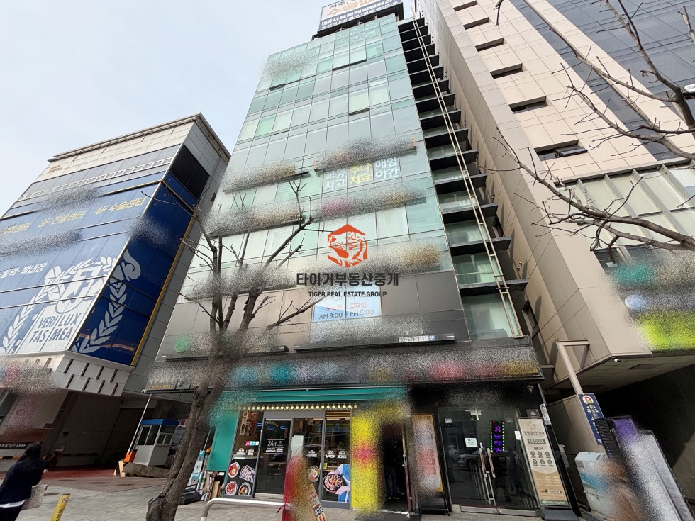 사진 17