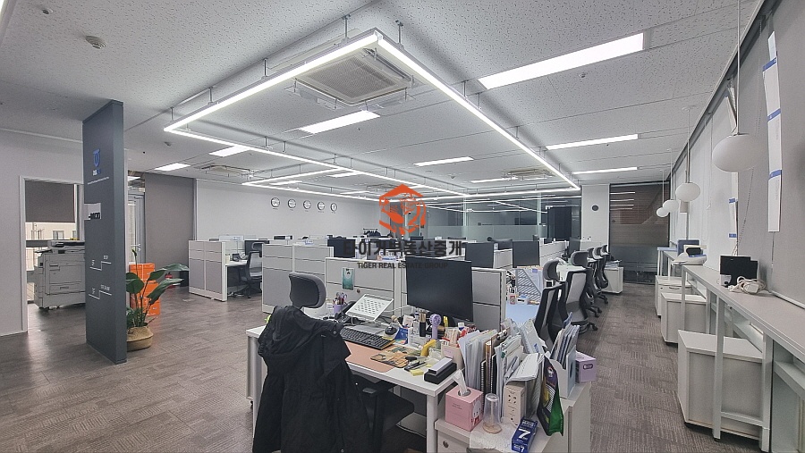 사진 3
