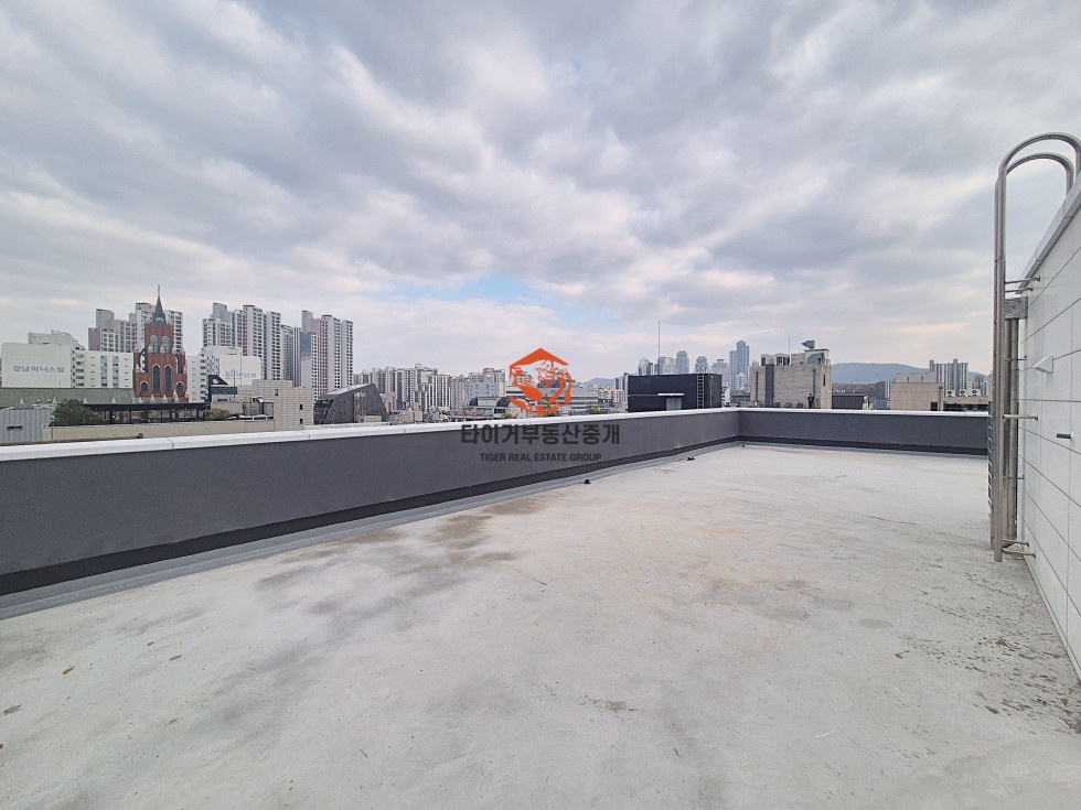 사진 12