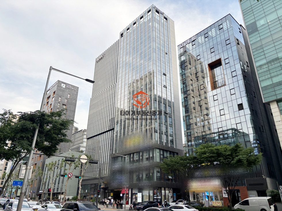 사진 17