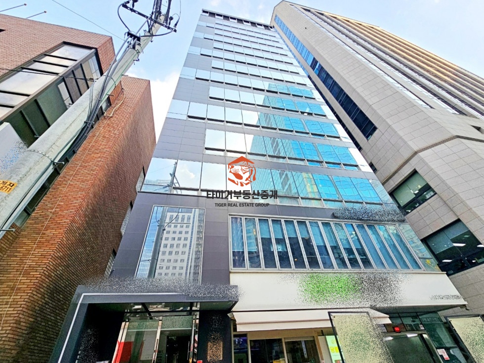 사진 11