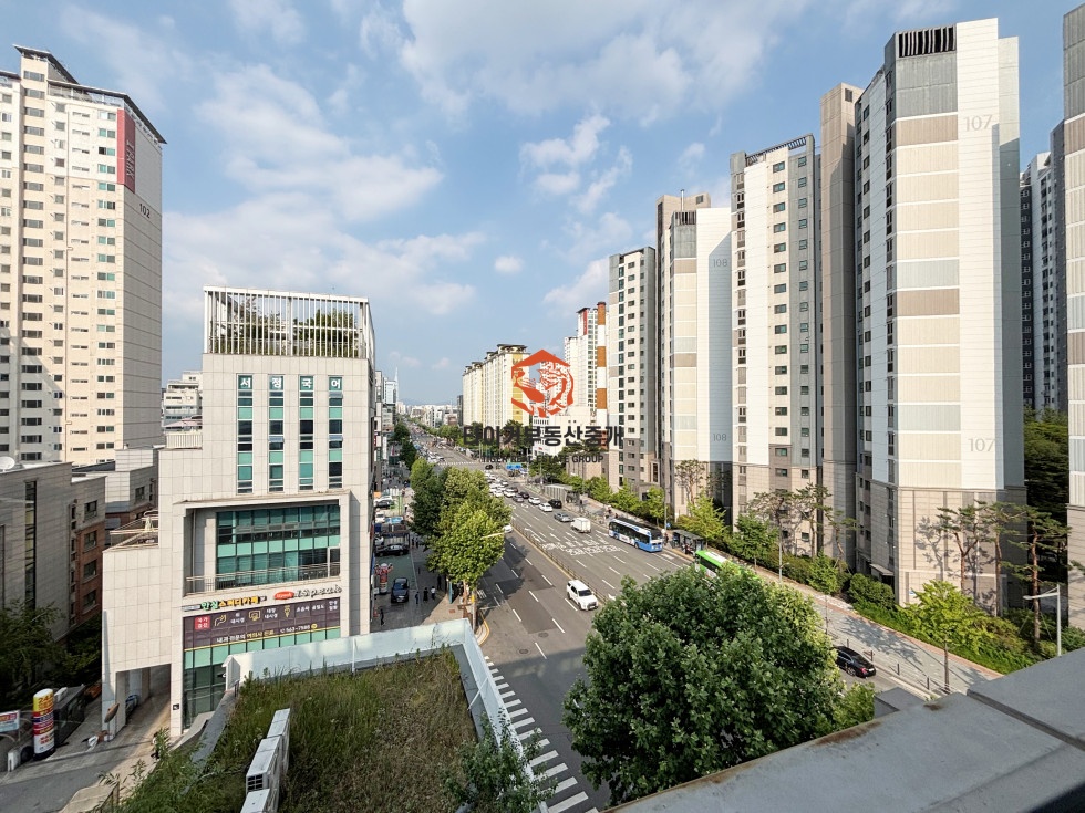 사진 14