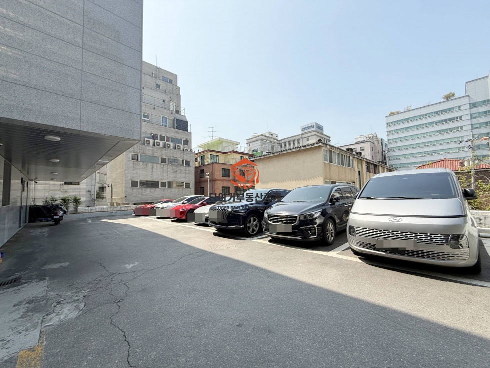 사진 10