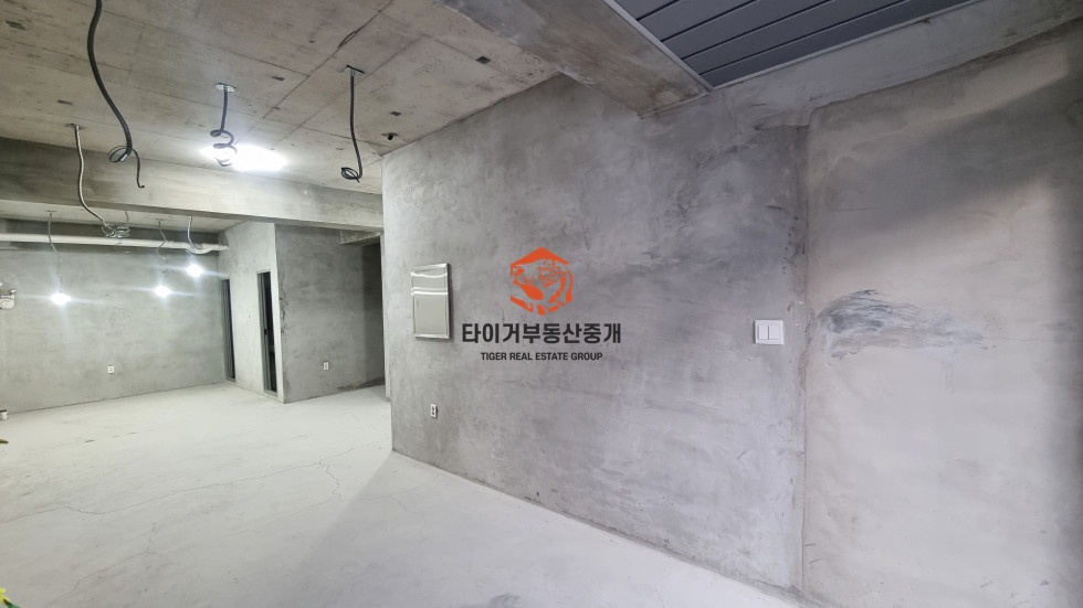사진 5