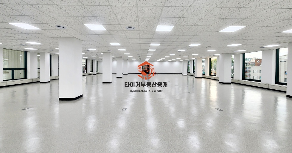 사진 6