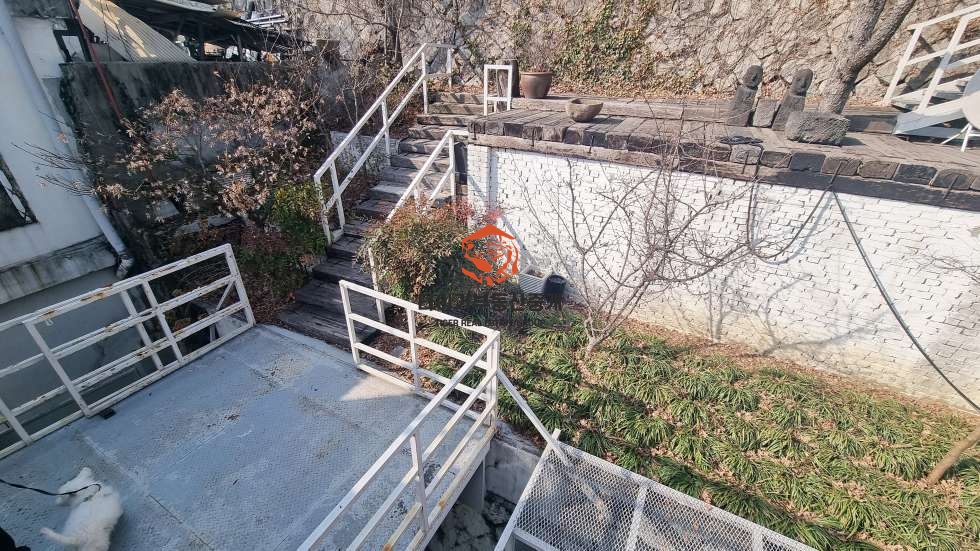 사진 10