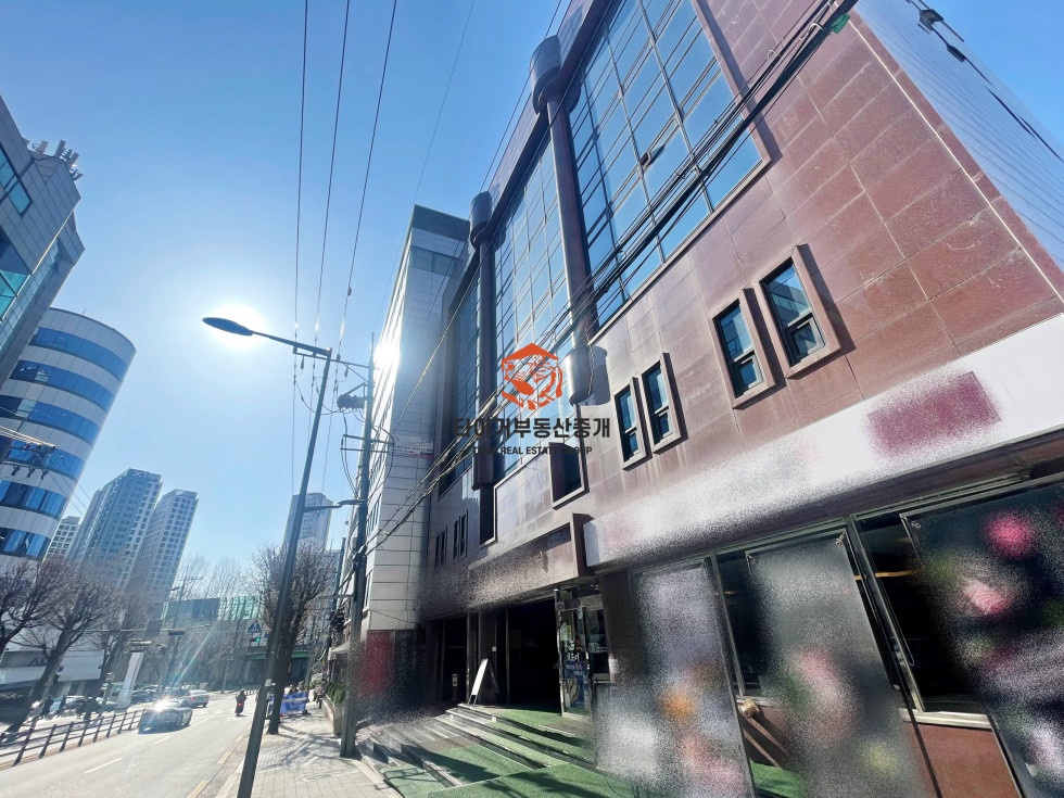사진 10